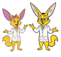 Fennec Education
